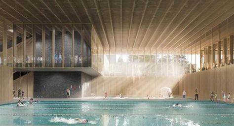 Natatorium Architecture, Swimming Pool Interior, Underground Swimming Pool, Public Swimming Pool, Swimming Pool Plan, Sports Facility Architecture, Pool Architecture, Hotel Swimming Pool, Aquatic Center