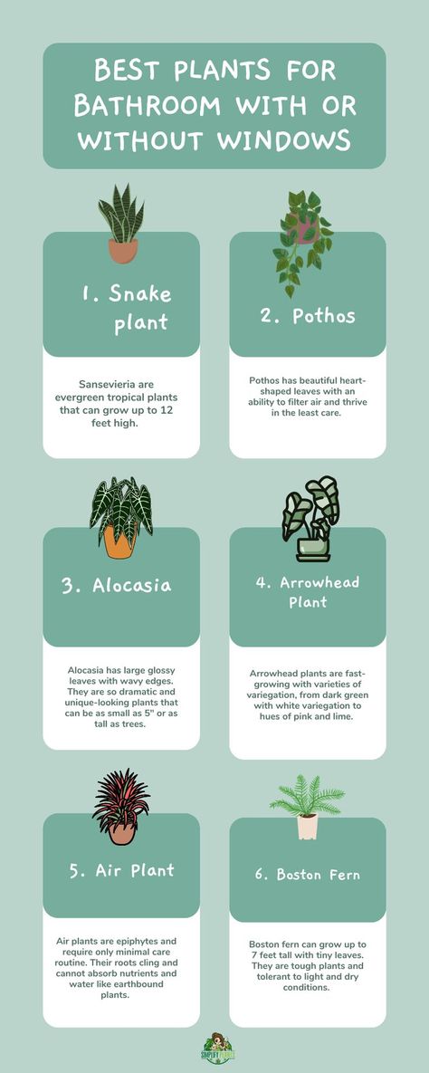 If you are an indoor plant lover like me, then you must be wondering how you can make every corner of your home green, including your bathroom. #simplifyplants #plants #careofplants #gardener #bestplant #forbathroom House Plants Bathroom, Good Plants For Bathroom, Plants For Showers No Light, How To Put Plants In Your Home, How To Care For House Plants, Bathroom Plants Decor Ideas, Arrowhead Plant Care, Plants For Bathroom With No Windows, Plants In Bathroom Decor