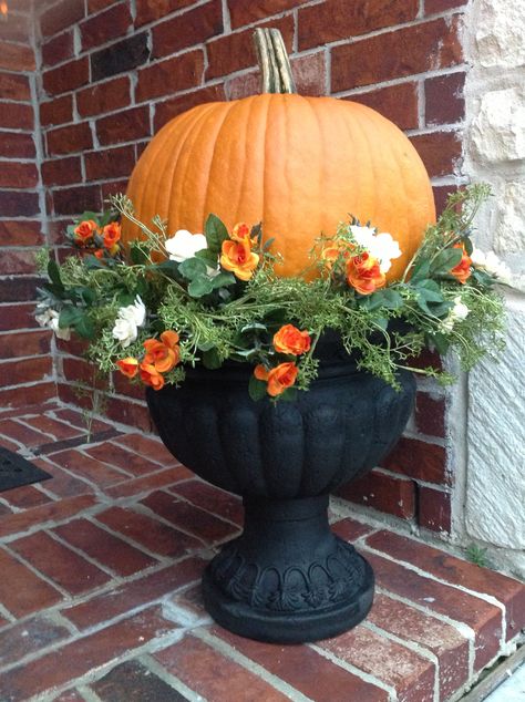 Pumpkin urn Pumpkin In Flower Pot, Halloween Planter Box Ideas, Pumpkin Urn Planter, Fall Porch Urn Ideas, Pumpkin Planter Porch, Pumpkins In Planters, Pumpkins In Planters Front Porches, Fall Front Porch Planters, Large Fall Planters Outdoor