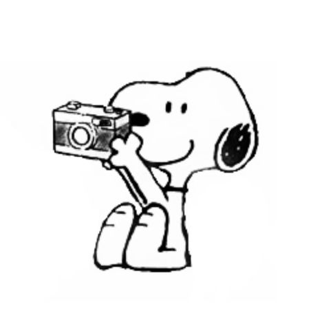 Snoppy Cute Pfp, Snoopy Widget Icon, Snoopy With Camera, Snoopy Pictures Image, Snoopy Png Icon, Snoopy Highlight Cover, Snoopy Pfp Aesthetic, Snoopy App Icon, Snoopy Phone Theme