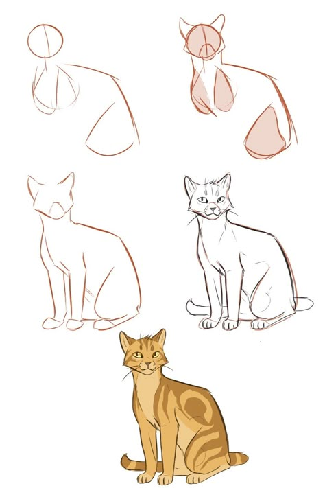 Draw Cats, Cat Drawing Tutorial, Cats Art Drawing, Cat Anatomy, Warrior Cats Fan Art, Warrior Cat Drawings, Drawing Help, Cat Sketch, Warrior Cats Art