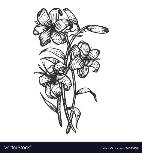 Lily Flower Sketch, Woodcut Flower, July Tattoo, Stationary Letter, Block Printing Designs, Letter Printables, Flower Engraving, Engraving Tattoo, Medieval Artwork