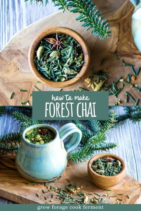 Aug 28, 2020 - This foraged tea blend uses fir needles and chai spices to create a delicious and festive drink that is also good for respiratory wellness. Fir Needles, Chai Spices, Books And Tea, Foraging Recipes, Herbal Teas Recipes, Herbal Recipes, Herbal Apothecary, Lip Scrubs, Milk Shakes