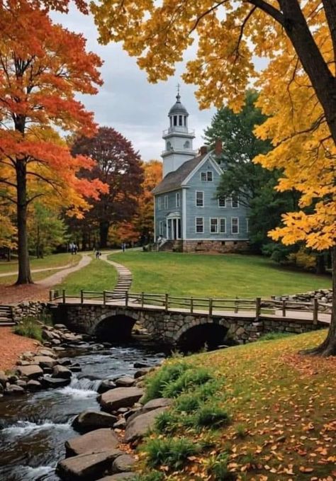 Fall In Massachusetts Aesthetic, Autumn In Massachusetts, Chestnut Hill Massachusetts, Fall In Boston Aesthetic, Massatuchets State, Boston Massachusetts Aesthetic Fall, Boston Fall Aesthetic, Things To Do In Boston Massachusetts, North America Aesthetic