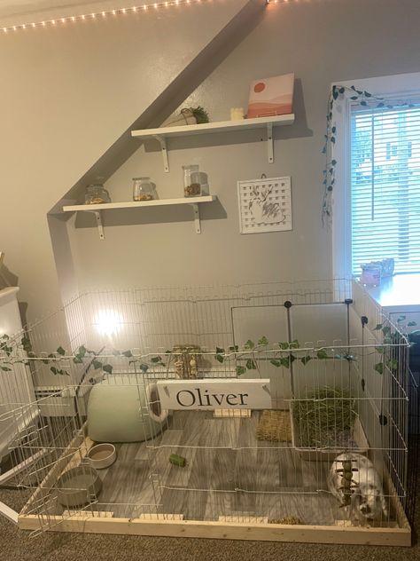 Bunny Room Ideas, Rabbit Setup, Bunny Cage Ideas, Indoor Bunny House, Bunny Enclosure, Bunny Setup, Diy Bunny Cage, Indoor Bunny, Bunny Homes