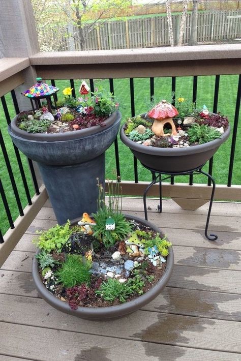 Fairy Garden Design Ideas, Plants Diy, Fairy Garden Designs, Fairy Garden Crafts, Faeries Gardens, Mini Fairy Garden, Magic Garden, Fairy Garden Decor, Fairy Garden Houses