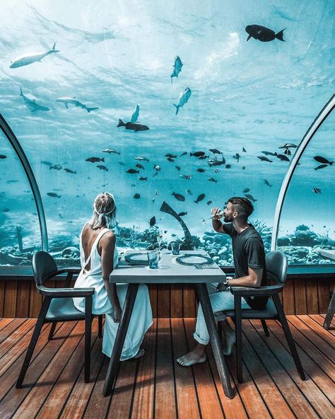 Maldives Honeymoon Package, Underwater Hotel, Underwater Restaurant, Best Travel Insurance, Maldives Honeymoon, Dream Honeymoon, Maldives Travel, Honeymoon Packages, Modern Restaurant