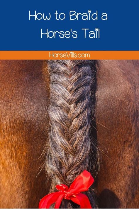 How to Braid a Horse's Tail: 3 Classic Styles (Step-by-Step) Horse Tail Braiding, How To Braid A Horse Mane, Mane Braids, Horse Mane Braids, Horse Hair Braiding, Braiding Ideas, Unique Braided Hairstyles, Horse Braiding, Hear Style