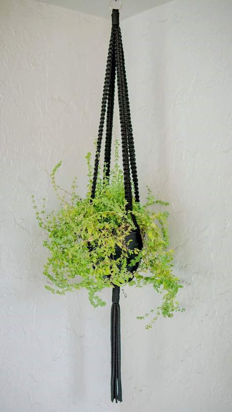 Black Plant Hanger, Macrame Plant Hanger Black, Black Macrame Plant Hanger, Waldorf Diy, Plant Hanger Ideas, Macrame Black, Macrame Hangers, Phone Background Ideas, Macrame Plant Hanger Patterns