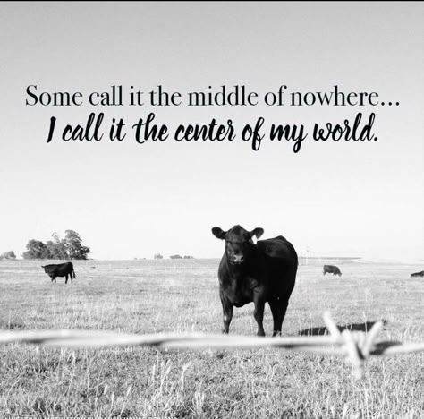 Like any young person, I dreamed of getting out of my Nowhere Town.  20 years later, I dreamed of getting back Home.  #CountryRootsRunDeep Farm Life Quotes, Farming Quotes, Cow Quotes, Farm Quotes, Cowboy Quotes, Farming Life, Cowgirl Quotes, Show Cattle, Country Girl Quotes