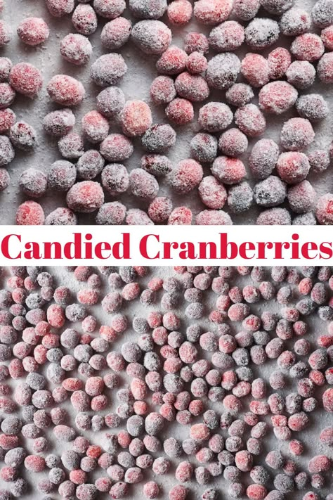 Learn how to make sugared cranberries with this easy Christmas candy recipe! Sparkling cranberries make any Christmas dessert look more festive! Cranberry Recipes Dessert, Fresh Cranberry Recipes, Cranberry Recipe, Nature Recipes, Easy Christmas Candy, Cranberry Baking, Cranberry Powder, Candied Cranberries, Easy Christmas Candy Recipes