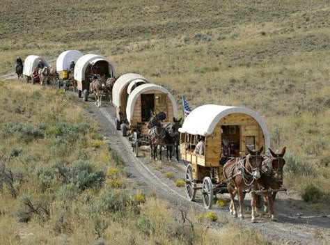 Sheep Herding, Horse Wagon, Chuck Wagon, Western Town, Covered Wagon, Shepherds Hut, Horse Drawn, The Sheep, Poses References