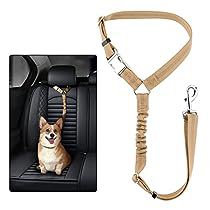 Cats Brown, Dog Car Harness, Dog Car Seat Belt, Car Harness, Dog Seat Belt, Elastic Rubber Band, Dog Car Seat, Dog Seat, Car Headrest