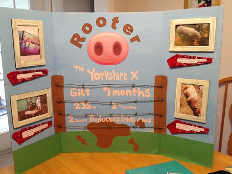 4 H Pig Poster Ideas, 4h Pig Poster Ideas, Decorating Animal Pens County Fair, Rabbit Posters For 4-h, 4-h Poster Ideas, Showing Pigs 4-h, Sheep Poster, Fair Poster, Raising Pigs