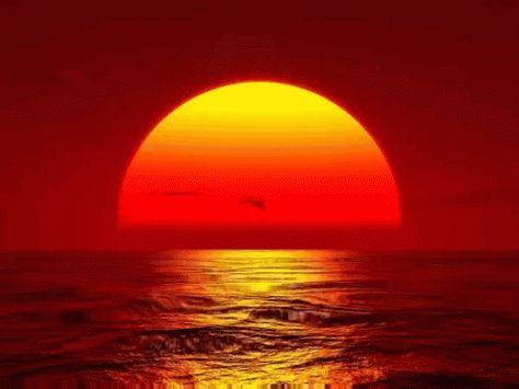 Sunshine Sunset GIF - Sunshine Sunset - Discover & Share GIFs Sunset Animated, Sun Gif, Sunset Gif, Phone Gif, Russian Dogs, Gif Background, Banner Gif, Discord Banner, Hodge Podge