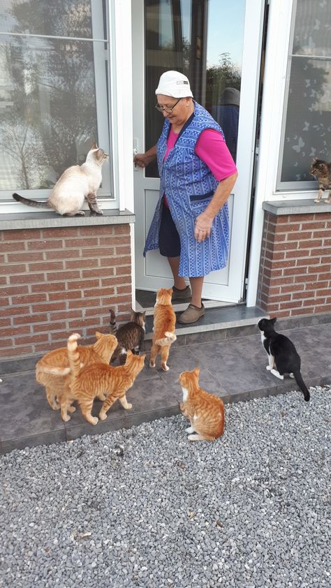 My grandma the real cat lady. :) Old Cat Lady Aesthetic, Cat Grandma, Sofia Falcone, Old Cat Lady, Fake Family, Punk Outfit, Real Cat, Hands Aesthetic, Bff Hands Aesthetic