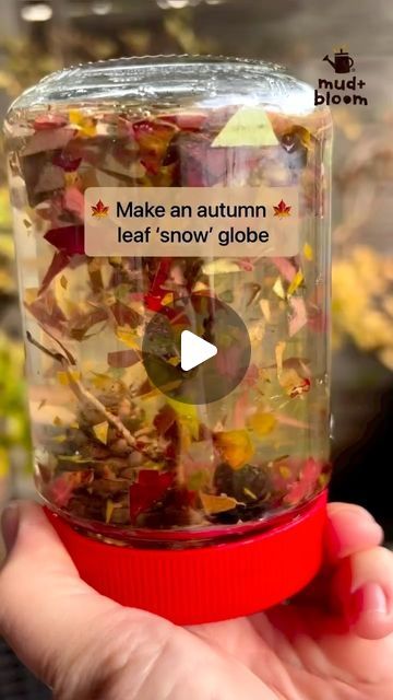 Autumn Leaf Snow Globe, Leaf Eyfs Activities, Season Change Activities Preschool, Season Changes Preschool Activities, Outdoor Autumn Activities Eyfs, Autumn Provocations, Autumn Eyfs Activities, Leaf Crafts Kids, Autumn Eyfs