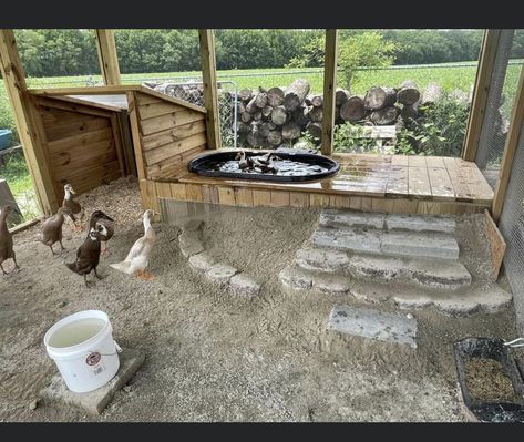 Cute Chicken Coupe Ideas, Outside Duck Pen, Duck Farming Ideas, Duck Chicken Coop Ideas, Diy Duck Pools, Cheap Duck Coop Ideas, Geese Pen Ideas, Small Duck Pond Ideas Diy, Diy Duck Pen Simple