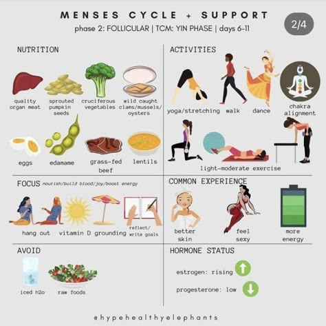 Cycle Synching, Cycling Food, Hormone Nutrition, Period Blood, Cycle Phases, Follicular Phase, Nutrition Activities, Womb Healing, Cycle Syncing