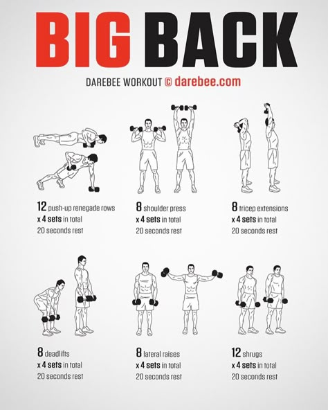 Big Back Workout, Dumbbell Workout Plan, Boxing Training Workout, Gym Workout Guide, Workout Gym Routine, Workout Program Gym, Bodybuilding Workouts Routines, Gym Workout Planner, Dumbell Workout