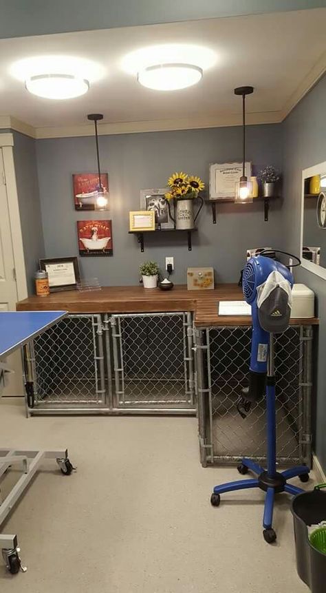 This would be great for the tool bench in the garage Dog Garage Kennel, Dog Grooming Cabin, Dog Kennels In Garage, Dog Grooming Organization, Tiny Grooming Salon, Garage Dog Grooming Salon, Garage Grooming Salon, Garage Kennel For Dogs, Home Dog Grooming Salon Ideas