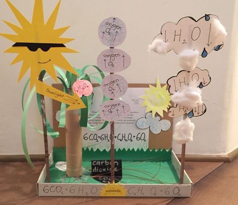 Photosynthesis 7th grade project- love the hands on and 3D effect! Photosynthesis Projects, Photosynthesis Activities, Life Science Projects, Apologia Biology, Biology Activity, Science Cells, Biology Projects, Cellular Respiration, Biology Classroom