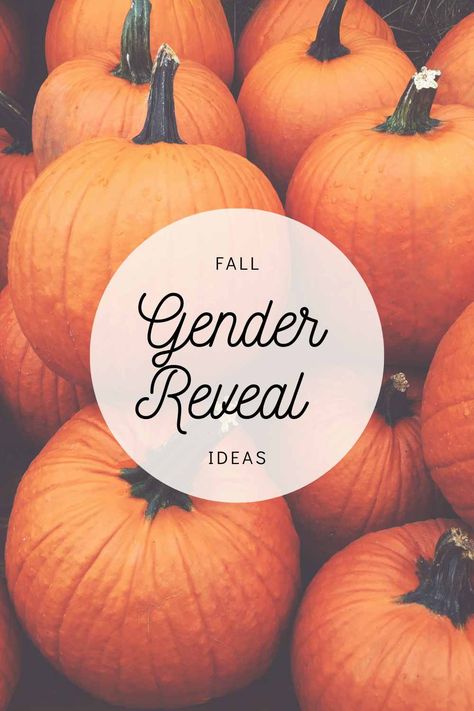 Gender Reveal Ideas Fall Theme, Gender Reveal Picture Ideas, Fall Gender Reveal Ideas, Fall Gender Reveal Party, Pumpkin Gender Reveal, Gender Reveal Party Theme, Gender Reveal Themes, Gender Reveal Ideas, Gender Reveal Decorations