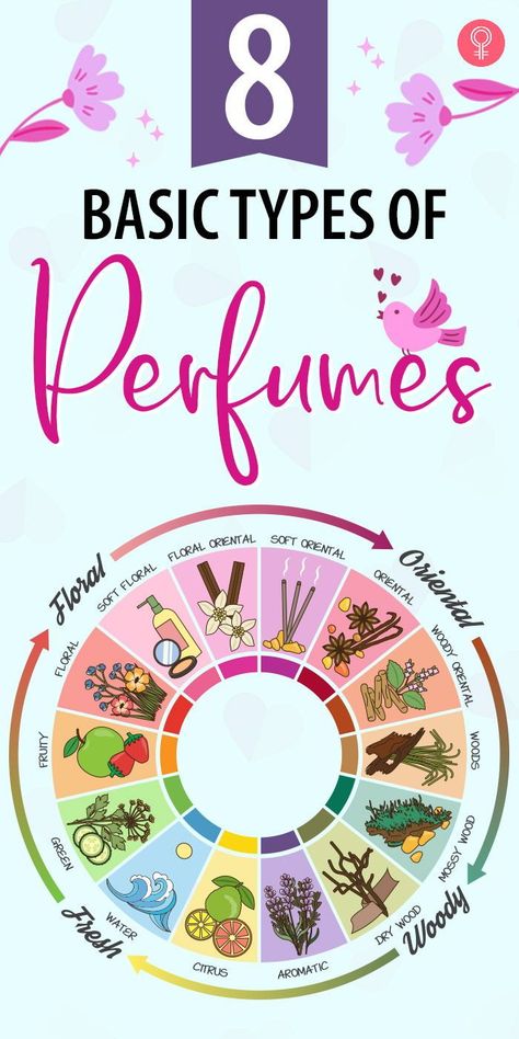 Types Of Fragrance, Different Types Of Perfume, Types Of Perfumes Fragrance, Different Perfume Scents, Types Of Perfume Scents, Types Of Scents, Perfume Scents Chart, Perfume Types, Types Of Perfume