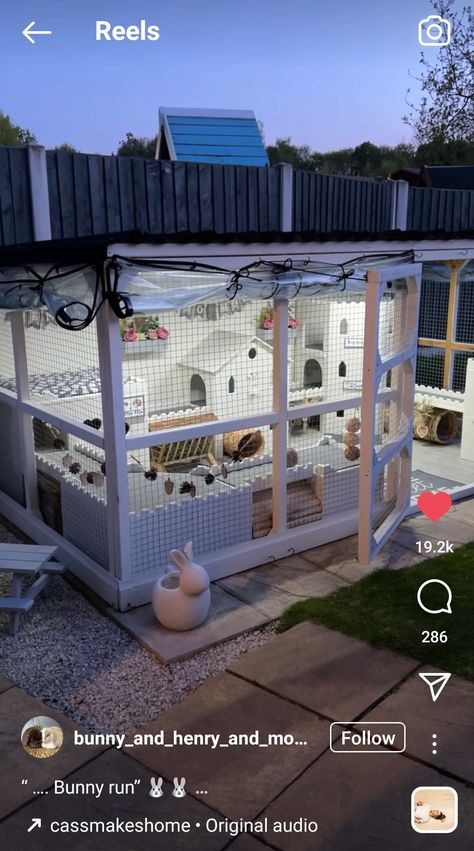 Bunny Cage Outside, Boho Bunny Enclosure, Bunny Homes Outdoor, Rabbit Home Outdoor, Outside Bunny Cages, Bunny Incloser, Outdoor Bunny Play Area, Diy Rabbit Shed, Bunny Sheds Outdoor