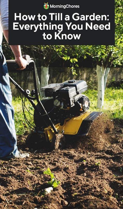 How To Till Garden, Tilling The Yard, Tilling A New Garden, Garden Tilling, Tilled Garden, Garden Tiller, Vegetable Benefits, Amazing Tools, Vegetable Garden Raised Beds