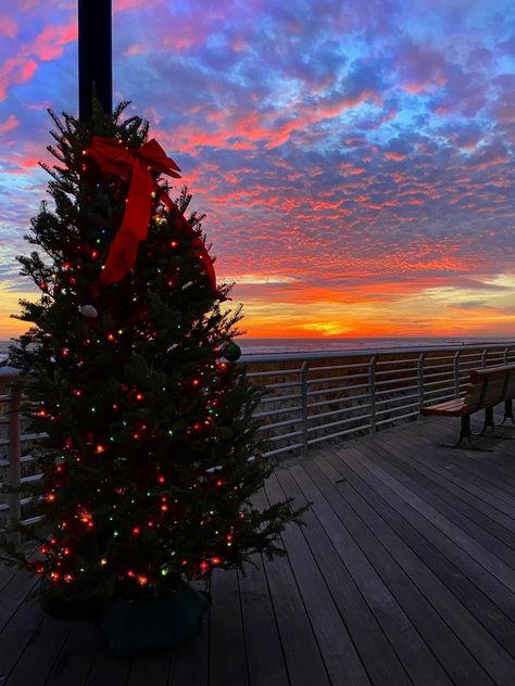 Summer Christmas Aesthetic, Christmas Sunset, Christmas On The Beach, Sunset Christmas, Christmas Australia, Beach Wallpaper Iphone, Long Beach Ny, Christmas Tree Pictures, Christmas In Australia