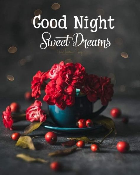 Gud Night Image, Good Night Sunday, Good Morning Babe Quotes, Diwali Night, Good Night Dear Friend, Gud Night, Night Wallpapers, Good Night Pictures, Cute Baby Images