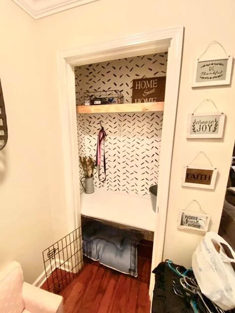 Closet Converted To Dog Kennel, Closet Turned Dog Kennel, Dog Bed In Closet Ideas, Guest Bedroom Dog Room, Small Closet Dog Room, Converting Closet To Dog Room, Dog Crate In Closet Ideas, Coat Closet Dog Kennel, Dog Storage Closet