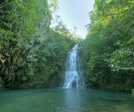 Top 5 attractions in Belize - A Luxury Travel Blog Cockscomb Basin Wildlife Sanctuary, Living In Belize, Things To Do In Belize, Placencia Belize, Belize Vacation, Living Overseas, Vacation Bucket List, Best Places In The World, Tiki Bars