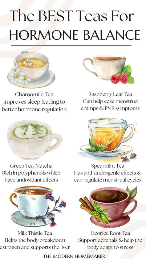 Learn how to balance your hormones! These are some of my favorite teas that I like to sip on throughout my cycle to support my body and my hormone health. Click to learn more about how you can support your hormone health! Best Tea For Hormone Balance, Hormone Balance Herbs, Teas For Your Cycle, Hormone Hacks, Hormone Balancing Teas, Hormonal Balance Tea, Tea To Balance Hormones, Hormonal Balance Drink, Hormone Balancing Aesthetic