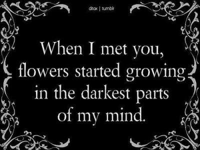 "When I met you, flowers stared growing in the darkest parts of my mind." <3 Goth Quotes, When I Met You, Dark Love, This Is Your Life, Romantic Goth, Hopeless Romantic, A Quote, Poetry Quotes, Love Poems