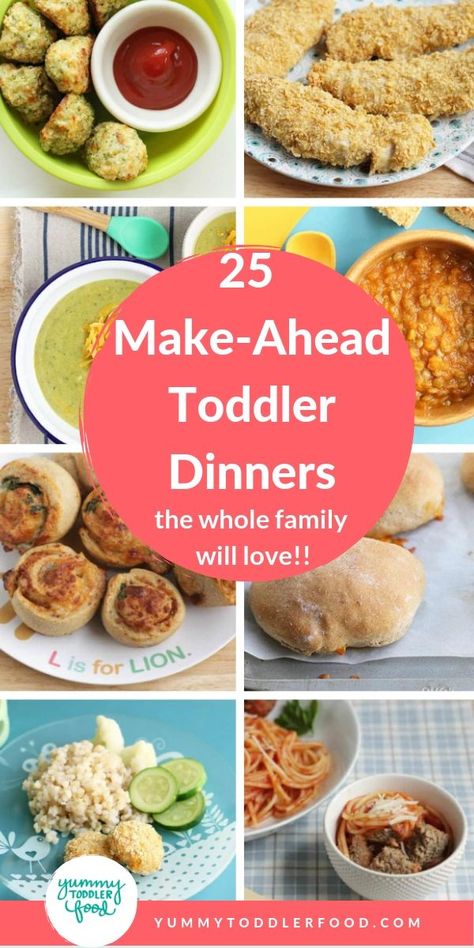 To make busy days a little easier, here are 25 Make-Ahead Toddler Dinners to make ahead and store in the fridge or freezer that everyone at the table will enjoy. #freezermeals #toddlerdinner #toddlerfood #familydinner #easydinner Toddler Meal Prep Freezer Cooking, Toddler Prep Meals, Make Ahead Toddler Lunches, Make Ahead Baby Meals, Freezable Toddler Meals, Toddler Freezer Meals, Freezer Meals For Kids, Toddler Approved Dinners, Toddler Friendly Dinners