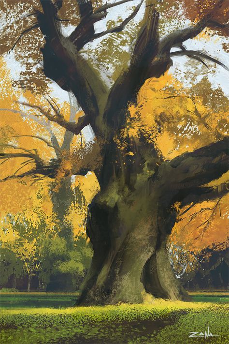 Eytan Zana, Rustic Painting, Tree Study, Art Landscapes, Landscape Concept, Tree Illustration, Environment Design, Environment Concept Art, Environmental Art