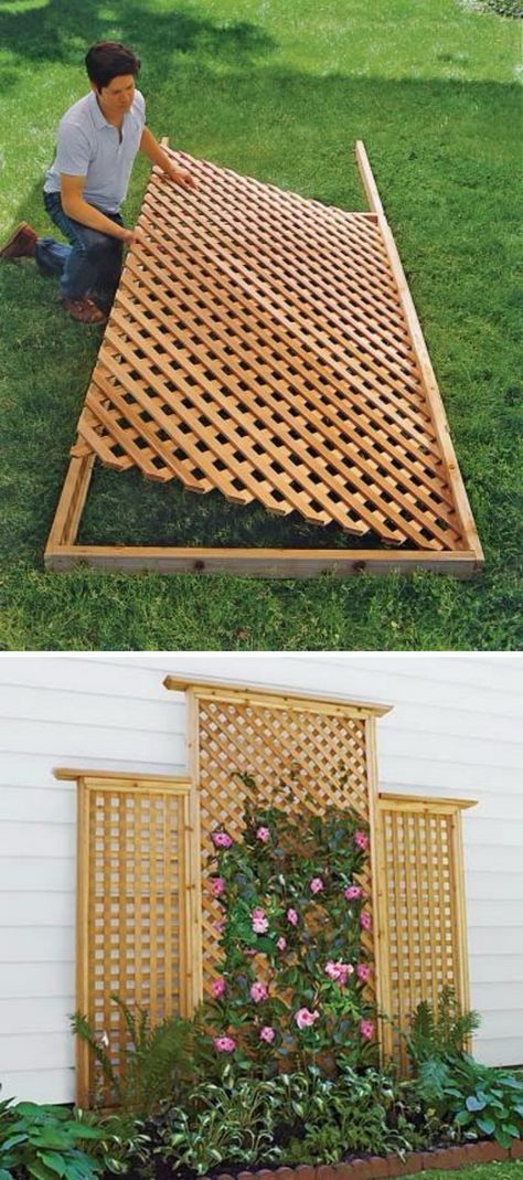 DIY Wood Lattice Trellis . Diy Garden Trellis, Lattice Trellis, Wooden Trellis, Diy Trellis, Backyard Privacy, Beautiful Yards, Trellis Design, Have Inspiration, Outside Ideas