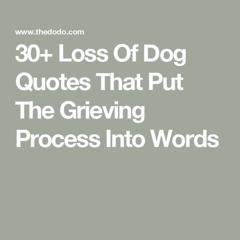 30+ Loss Of Dog Quotes That Put The Grieving Process Into Words Goodbye Dog Quotes, Pet Remembrance Quotes, Jack Russell Quotes, Just A Dog Poem, Lost My Dog Quotes, In Memory Of My Dog Quotes, New Dog After Losing One Quote, Dogs Passing Quotes, Dog Bereavement Quotes