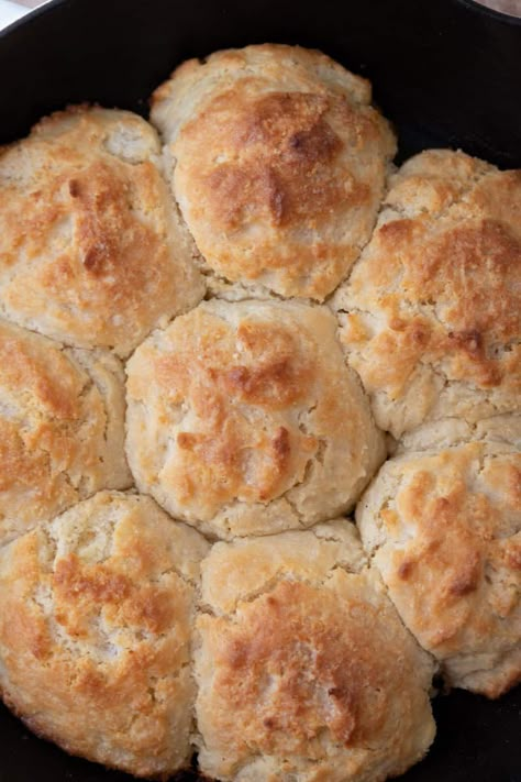 The Best Sourdough Discard Drop Biscuits Recipe - Lifestyle of a Foodie Sour Dough Discard Drop Biscuits, Sourdough Drop Biscuits Discard, Buttery Sourdough Biscuits, No Wait Sourdough Biscuits, Sourdough Discard Drop Biscuits Easy, Same Day Sourdough Biscuits, Sour Dough Biscuits Recipes, Sourdough Biscuit Recipe, Sourdough Drop Biscuits Easy