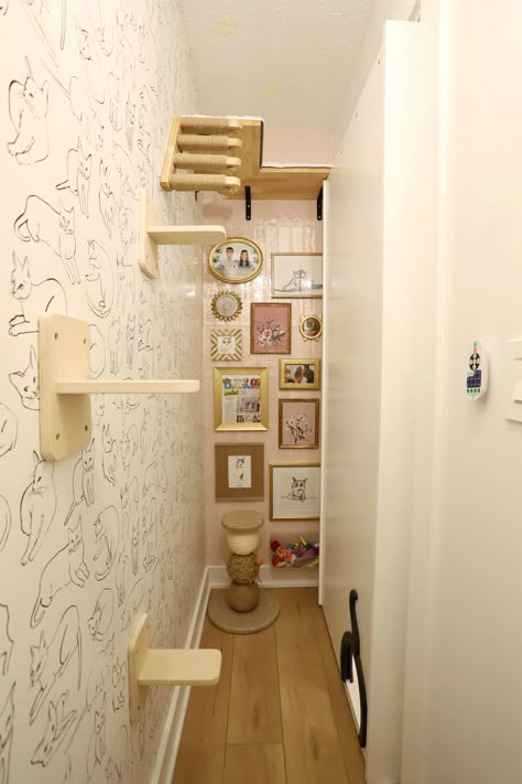 We’re So Ready to Move Into These Mini Pet Rooms | Architectural Digest | Architectural Digest Cat Door Wall, Dog Bedroom Ideas, Cat Closet, Rooms Cute, Pet Rooms, Cat Rooms, Cat Room Decor, Dog Bedroom, Cat Space