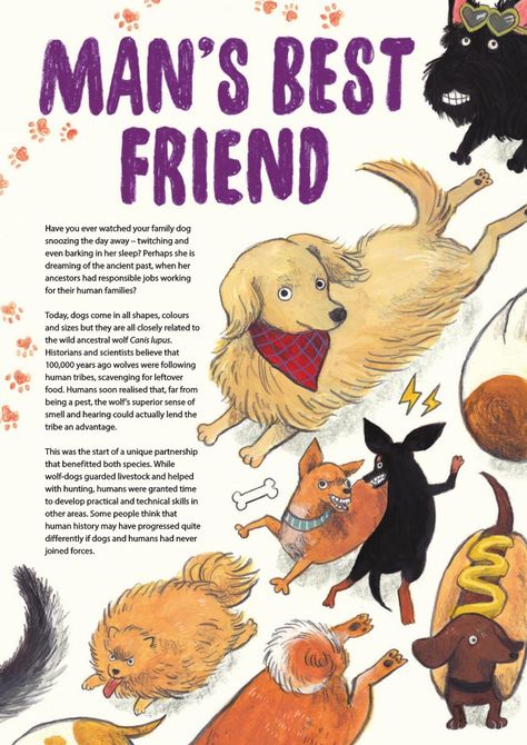 Aquila Children's Magazine magnificentMegaMag-92pages Animal Magazines, Magazines For Kids, Family Dogs, Illustration Inspiration, Mans Best Friend, Art Illustration, Illustration Art, Best Friends, Magazine