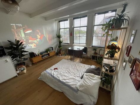 Clothes Organization Studio Apartment, Studio Apartment With Dog, Nice Studio Apartment, Industrial Style Studio Apartment, Studio Bed Ideas, Studio Apartment Paint Ideas, Large Window Apartment, Studio Apartment Inspo Interior Design, Studio Appartement Layout