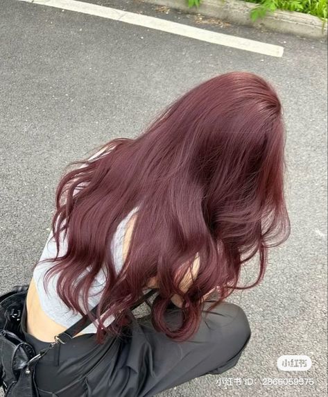 Aesthetic Haircolor Ideas, Light Purple Pink Hair, Colors That Look Good With Brown Hair, Pink Lavender Brown Hair, Wine Cherry Hair, Red Cherry Hair Aesthetic, Light Red Hair Aesthetic, Red Wine Color Hair, Lavender Red Hair