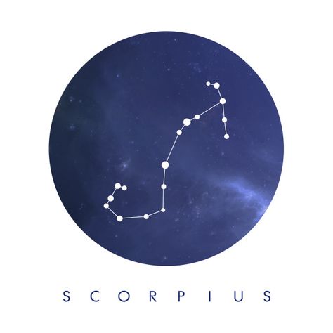 Check out this awesome 'Scorpius %28Scorpio%29 Constellation' design on @TeePublic! Scorpius Constellation, Alea Aquarius, Constellation Scorpio, Scorpio Constellation, Alpha Centauri, Constellation Design, Astronomy Constellations, Constellation Tattoo, Zodiac Sign Tattoos