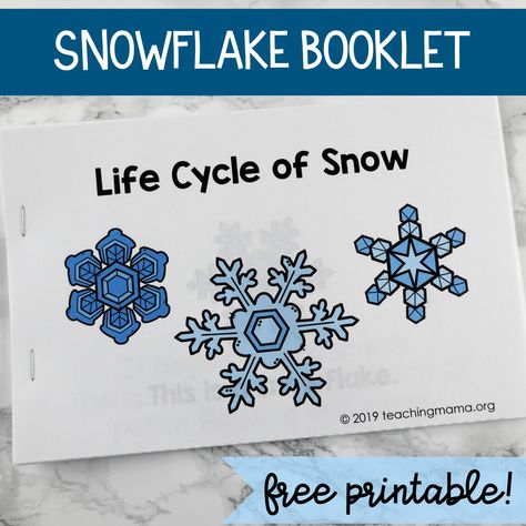 Life Cycle of Snowflakes Booklet - free printable that explains how a snowflake is formed!  #teachingmama #snowflakes #printables #freeprintables Snow Cycle Preschool, Snowflakes Printable Free, Snowflake Theme Preschool, Snow Kindergarten, Snow Theme Preschool, Snowflakes Kindergarten, Snowflake Printables Free, Kindergarten Snowflakes, Winter Bird Activities Preschool