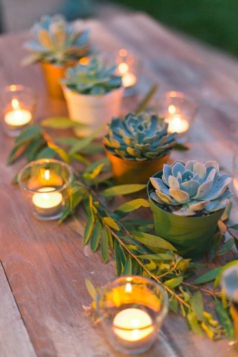 Succulent Centerpiece Table Decorations With Succulents, Plant Themed Party Decor, Plant Party Theme, Plant Themed Bridal Shower Ideas, Plant Themed Party, Succulent Wedding Table, Spring Theme Party, Succulent Wedding Centerpieces, Reception Table Decor