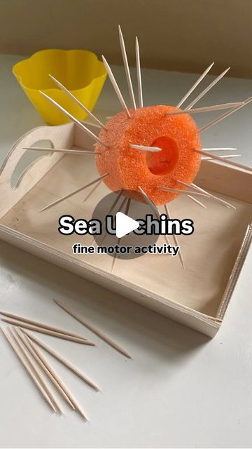 Jennifer Lee | Play, Learn & Inspire on Instagram: "🌊 Sea Urchins 🌊  Throwing it back to one of our favorite ocean themed fine motor activities…. Sea urchins! These are so easy to set up and the kids love it! You can find all of the supplies at @dollartreeclassrooms for this simple hand-strengthening craft. Follow along for more ocean themed fun this week!  #brightmamalight #finemotorskills #finemotoractivity #handeyecoordination #kidsactivities #earlylearning #dollartreefinds #dollartreecrafts #poolnoodles #kidssensoryplay" Sea Urchin Crafts, Ocean Fine Motor Activities, Under The Sea Activities For Preschool, Sea Urchin Craft, Zoo Room, Ocean Activities Preschool, Ocean Preschool, Summer Lesson Plans, Ocean Theme Crafts