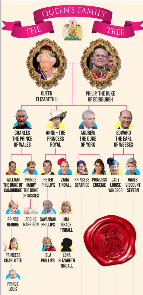 Immediate Royal Family Tree British Royal Family Tree, Royal Family Tree, Heavily Pregnant, Queen Elizabeth 11, Royal Family Trees, Line Of Succession, Rainha Elizabeth Ii, Queen Elisabeth, Mike Tindall